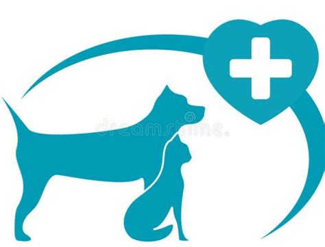 veterinario pontecagnano|Ambulatorio Veterinario Croce Azzurra Pontecagnano F.